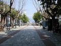 P6301750.jpg (113k)