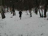 P1190407.jpg (163k)