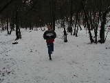 P1190426.jpg (160k)